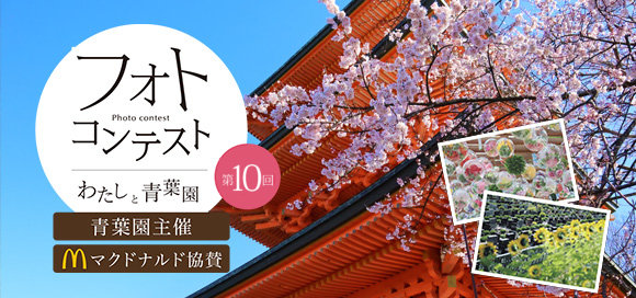第10回フォトコンテスト