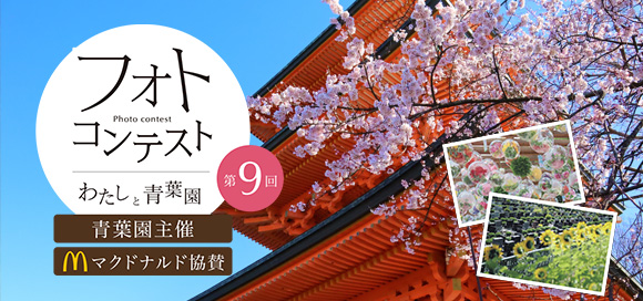 第9回フォトコンテスト