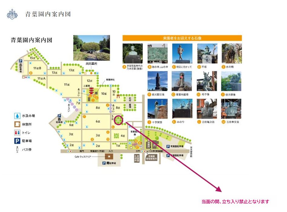 5区に隣接した雑木林を綺麗にしました