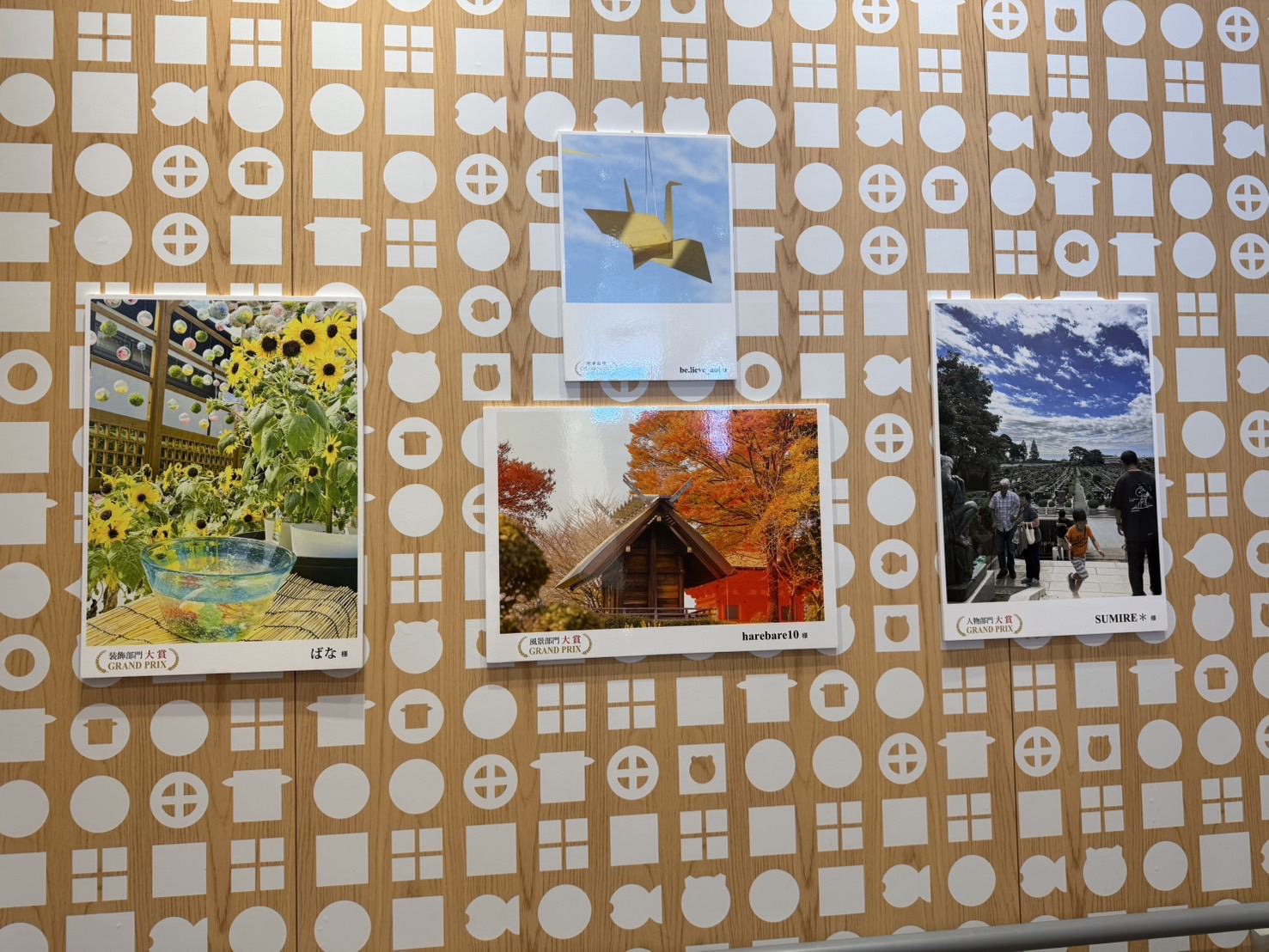 マクドナルド大宮バイパス三橋店にて、「第8回青葉園フォトコンテスト」の優秀作品を展示しております。