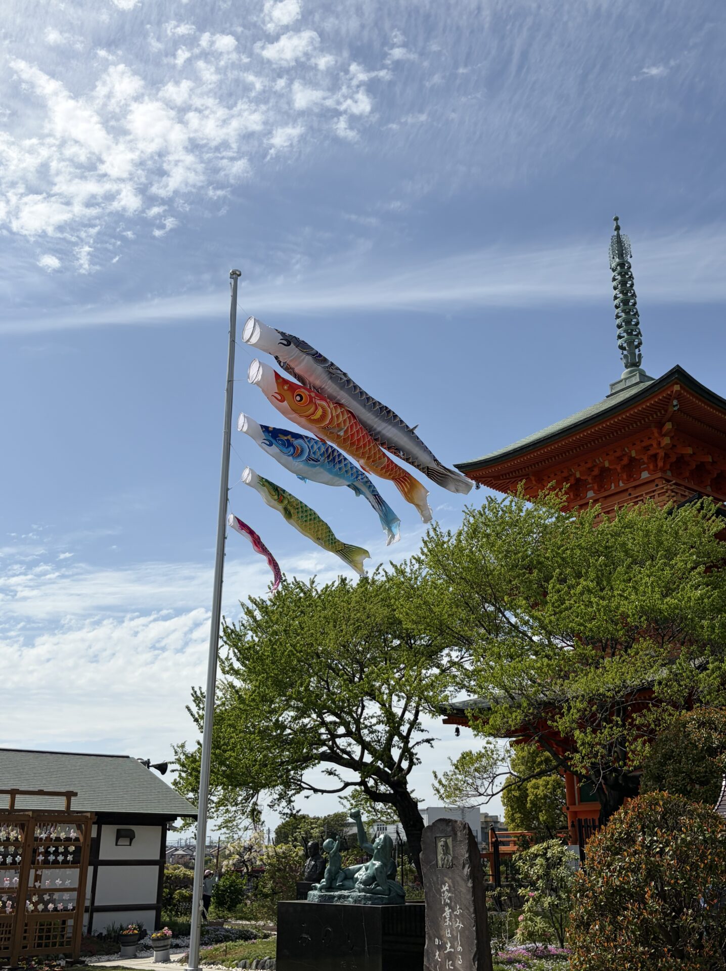 鯉のぼりを設置しました