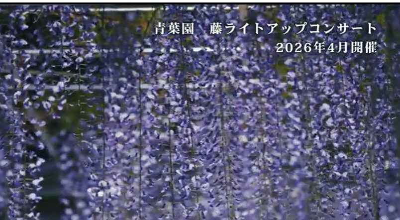 藤ライトアップコンサートの動画を公開しました
