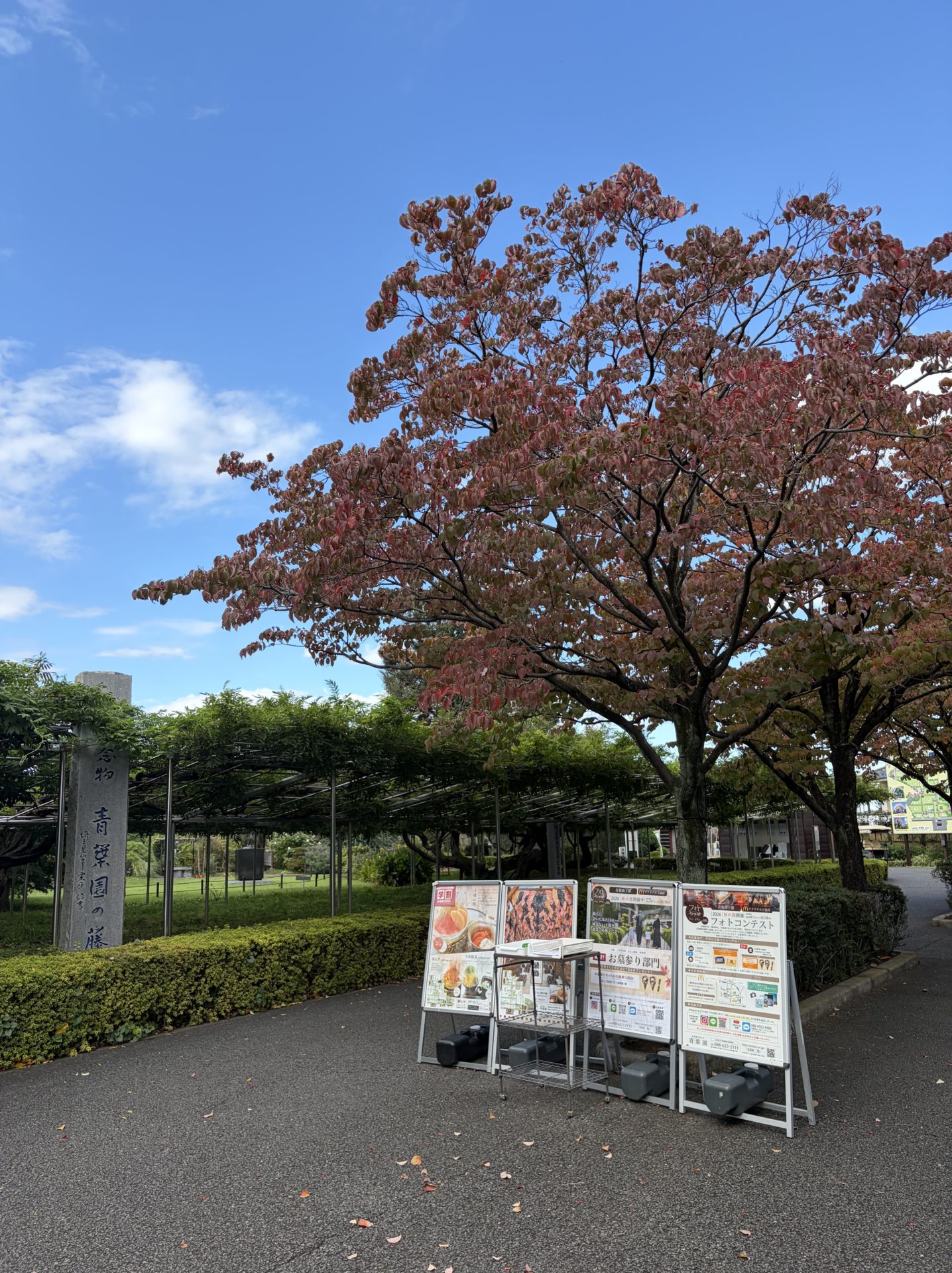 初秋の園内